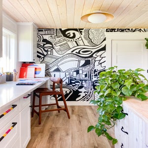 ##Antique Hardware## Cadence Semi Flush