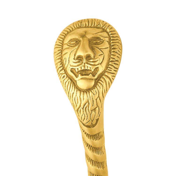 10 Inch Ornate Lion's Head Door Pull