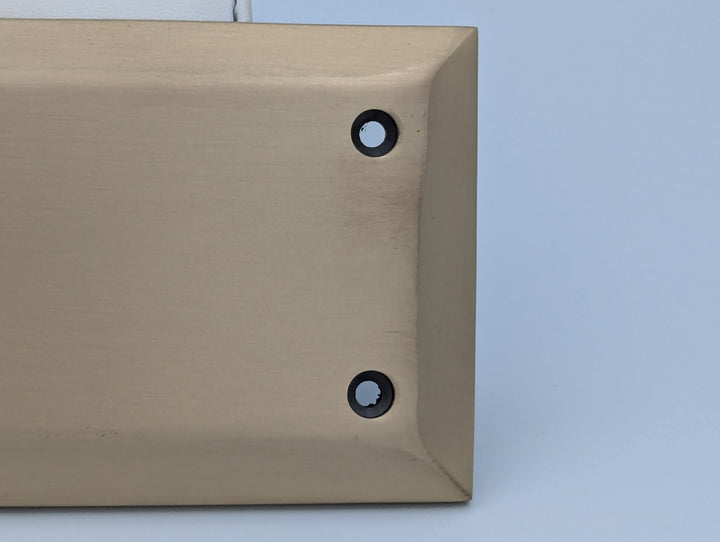 ##Antique Hardware## Open Box Sale Item 10 Inch Quaker Style Push Plate (Antique Brass Finish)