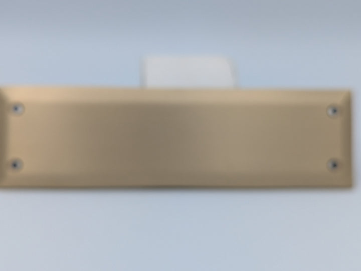 ##Antique Hardware## Open Box Sale Item 10 Inch Quaker Style Push Plate (Antique Brass Finish)