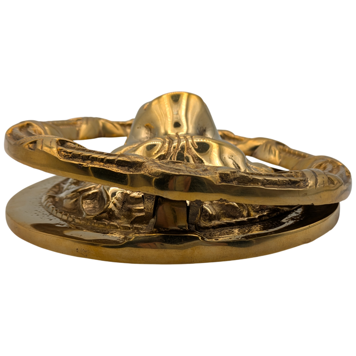 Ribbon & Reed 8 3/4 Inch Brass Lion Door Knocker (Polished Brass Finish)