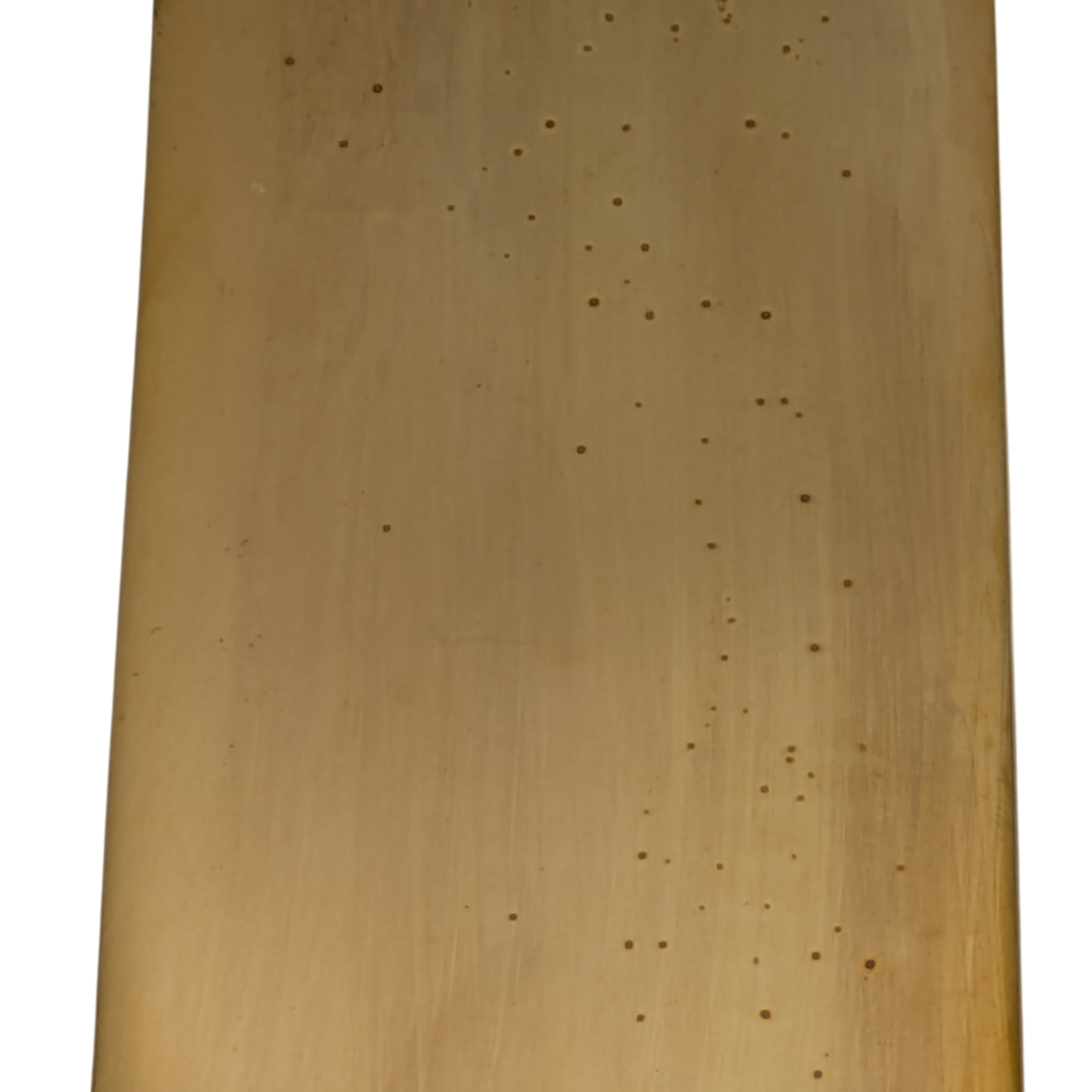 12 Inch Traditional Style Door Push Plate (Polished Brass Finish)