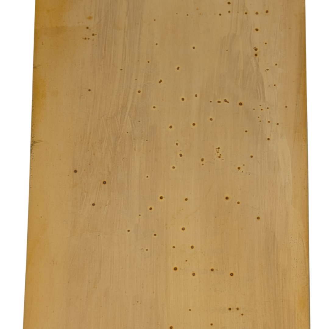 12 Inch Traditional Style Door Push Plate (Polished Brass Finish)