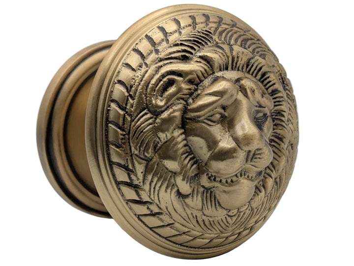 Traditional Rosette Door Set with Lion Door Knobs (Several Finishes Available)