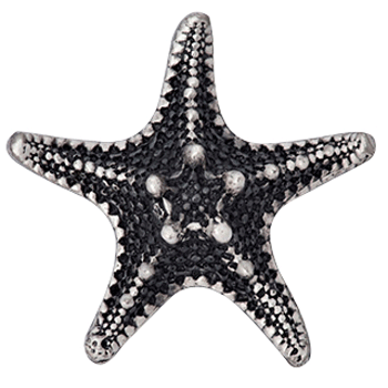 Antique Hardware 1 3/4 Inch  Ocean Seaside Nautical Solid Pewter Decorative Starfish Knob (Satin Pewter Finish) Cabinet Knobs & Handles